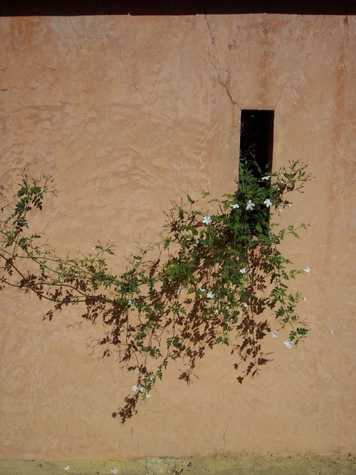 CORDOBA+DE LA LUIS+JEREZ 27