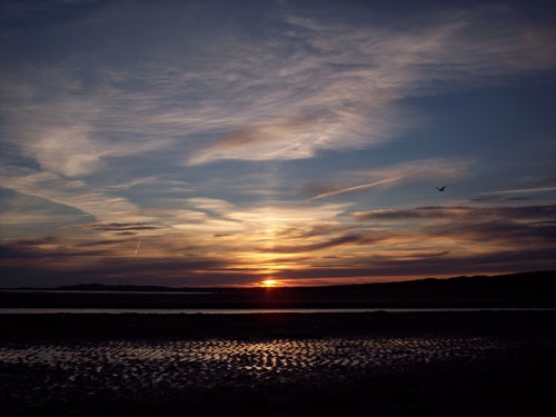 FRANCE+B DAY+FLORA 575