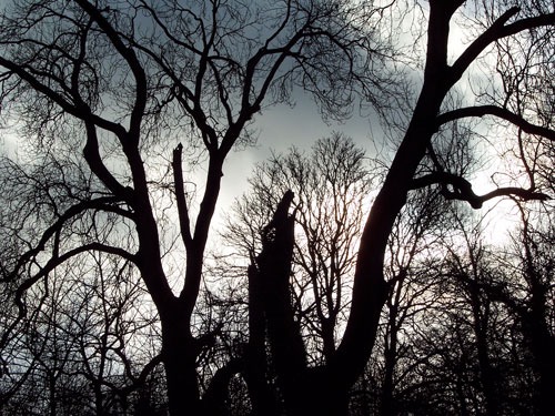 WINTER 2008+2009 101